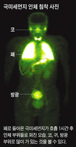 극미세먼지 인체 침착 사진