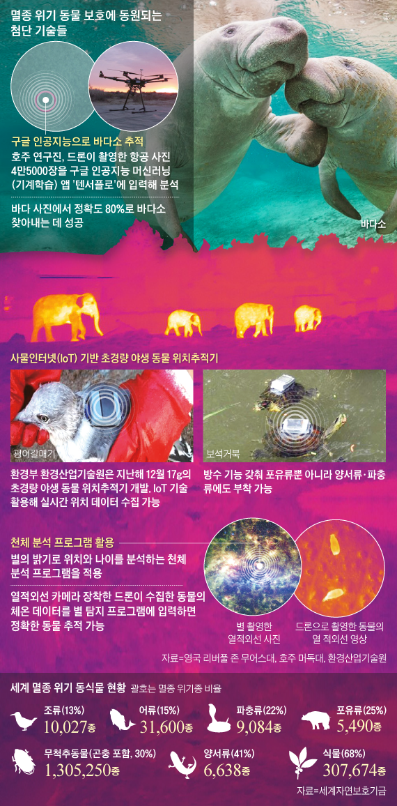 멸종 위기 동물 보호에 동원되는 첨단 기술들