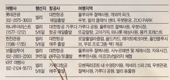 발리 여행 상품