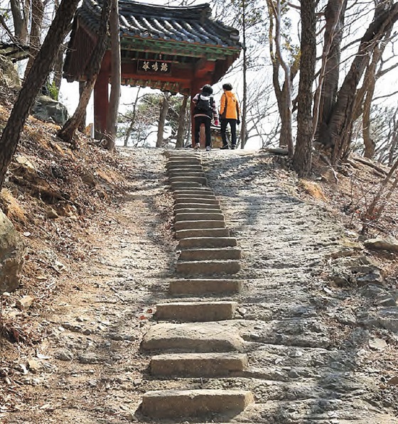 부산 금정구 범어사(梵魚寺)의 계명암으로 가는 방문객들이 돌계단을 오르고 있다. 계명암은 부산의 순례길 중 범어사 11암자길 구간에 있는 암자다.