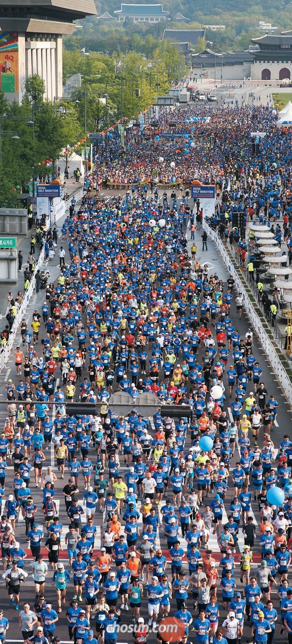 서울의 봄을 달렸다… 1만2000명이 함께 뛴 서울하프마라톤