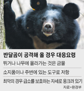 반달곰이 공격해올 경우 대응 요령