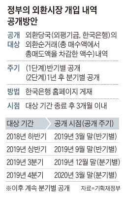 정부의 외환시장 개입 내역 공개방안 표