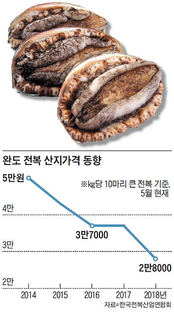 완도 전복 산지가격 동향