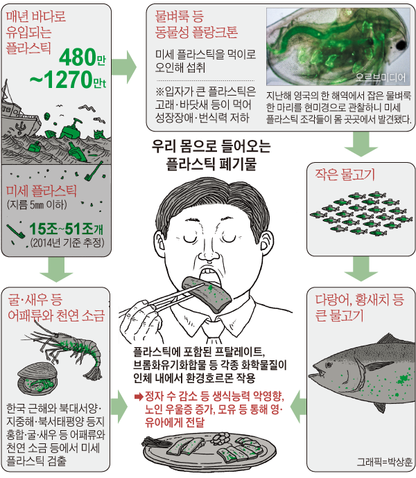 우리 몸으로 들어오는 플라스틱 폐기물