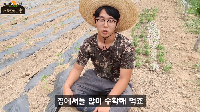 청년 농부 오창언씨가 텃밭에 앉아 수확해 먹는 작물들을 소개하는 장면.