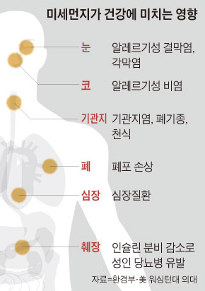 미세먼지가 건강에 미치는 영향