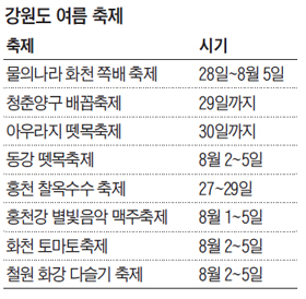 강원도 여름 축제