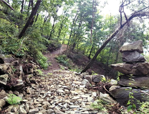 강원도 매봉산에 내년 3월 산악자전거 파크(MTB)가 국내 최초로 문을 연다. 사진은 산악자전거 파크 내 크로스컨트리 코스의 전경.