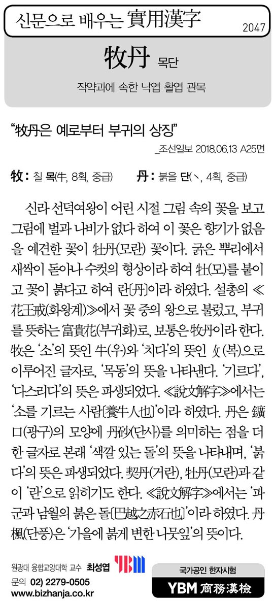 [신문으로 배우는 실용한자] 목단(牧丹)