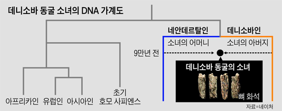 데니소바 동굴 소녀의 DNA 가계도