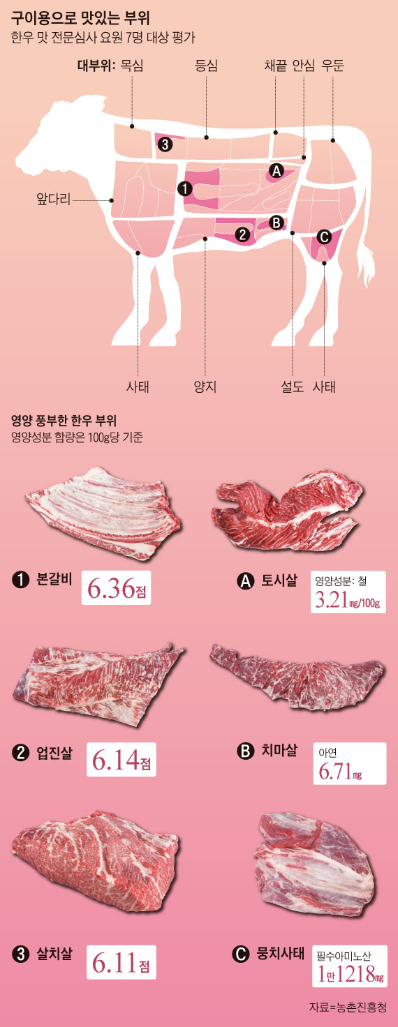 구이용으로 맛있는 부위, 영양 풍부한 한우 부위