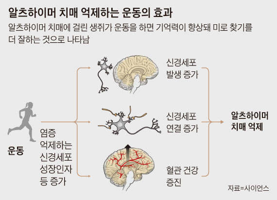 ìì¸ íì´ë¨¸ ì¹ë§¤ ìµì íë ì´ëì í¨ê³¼