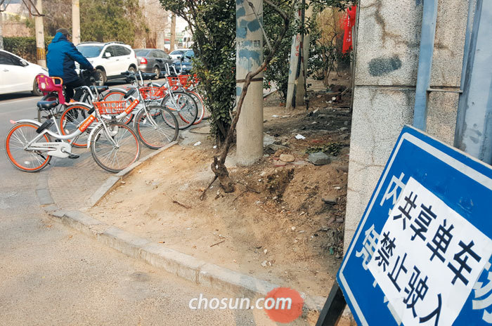 베이징 차오양구 아파트 단지 앞에 공유자전거 진입 금지라고 적힌 팻말이 붙어 있다.