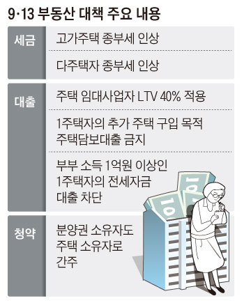 '주택시장 안정 대책'