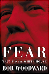 Fear: Trump in the White House 