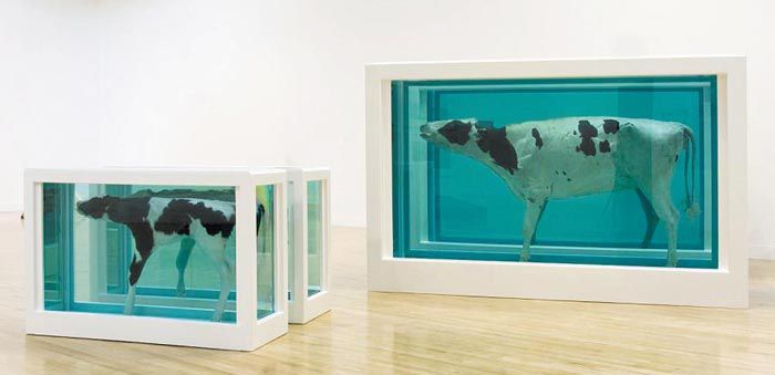 데이미언 허스트, 분리된 어머니와 자식, 2007년 재제작 (원작 1993년), 각각 190x322x109cm 102x169x62cm, 유리, 실리콘, 암소와 송아지, 포름 알데히드 등, 런던 테이트 모던 소장.