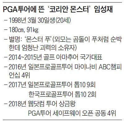 PGA투어에 뜬 '코리안 몬스터' 임성재