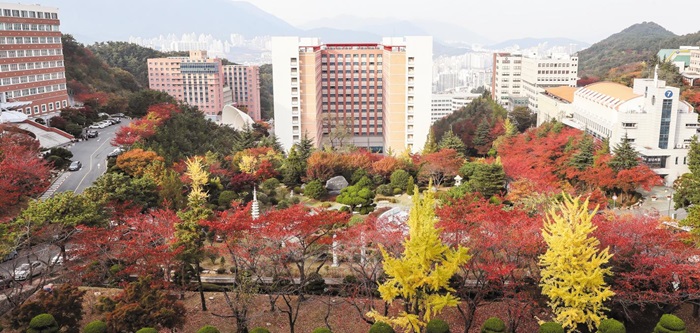 동의대는 지역사회 상생을 위한 가치공유 플랫폼을 구축하고자 모든 역량을 집중하고 있다.