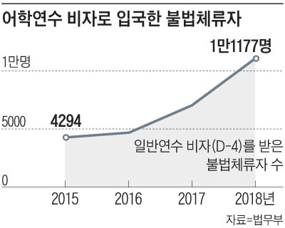 어학연수 비자로 입국한 불법체류자 수 그래프