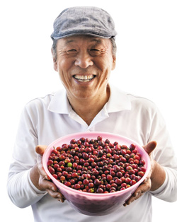 김영한 제주 커피수목원 대표