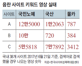 음란 사이트 키워드 영상 실태