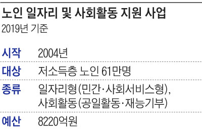 노인 일자리 및 사회활동 지원 사업