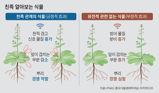 ì¹ì¡± ììë³´ë ìë¬¼