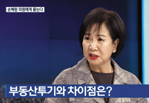 ‘목포 부동산 투기 의혹’을 불러일으킨 손혜원 의원이 지난달 18일 KBS ‘뉴스 9’에 출연한 모습. 