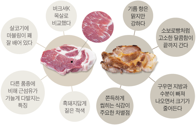 구우면돼지 이미지