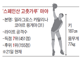 스페인산 고춧가루 마야