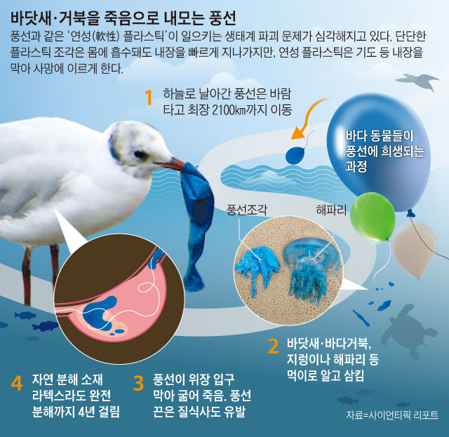 바닷새, 거북을 죽음으로 내모는 풍선 그래픽