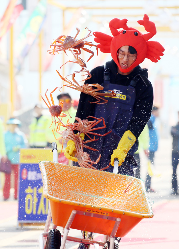 경북 영덕 제철 대게