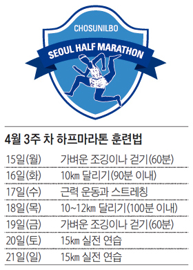 서울하프마라톤 3주차 훈련법