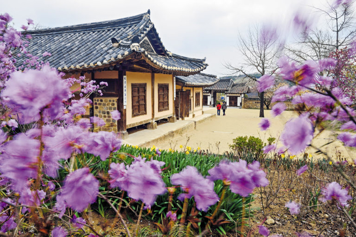 충남 예산군 신암면의 추사 고택. 조선시대 대표 실학자인 추사(秋史) 김정희 선생이 태어나고 자란 생가다. 뒤편에는 그의 묘도 있다. 