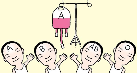 모든O.A 이미지