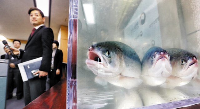 정부 “연어양식 성공” 브리핑까지 했지만… -  2016년 11월 해양수산부가 ‘아시아 최초 연어 양식 성공’ 브리핑을 하고 있다. 그러나 한 달 뒤 환경부는 대서양 연어를 위해어종으로 지정, 양식을 막았다. 