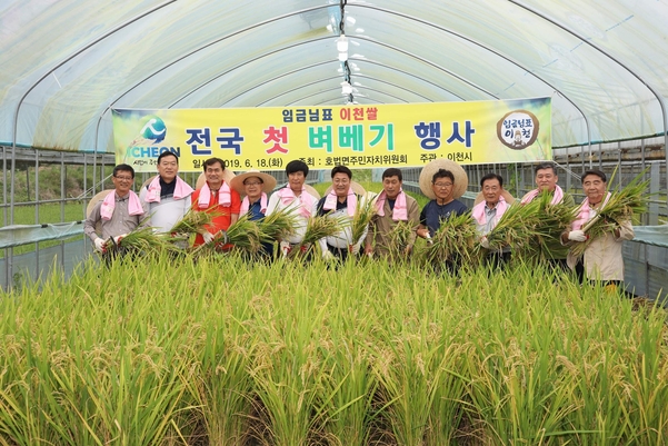 엄태준 이천시장 등이 18일 호법면의 비닐하우스 논에서 올해 전국 첫 벼베기 행사를 갖고 있다. /이천시 제공