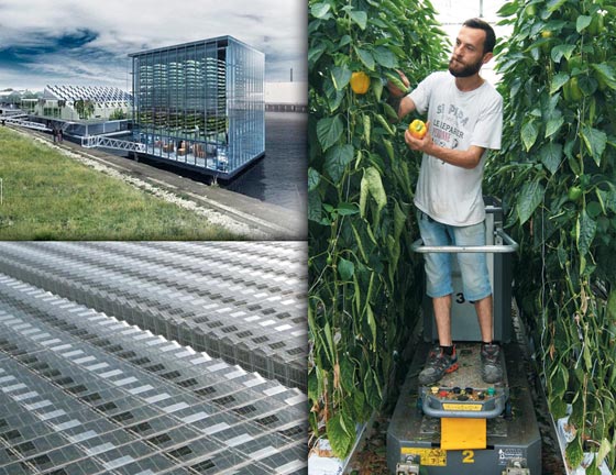 네덜란드 로테르담 앞바다에 세계 최초로 건립 중인 수상농장(Floating farm·왼쪽 위)과 세계 최대 규모의 유리 온실 단지 아흐리포르트A7(왼쪽 아래). 