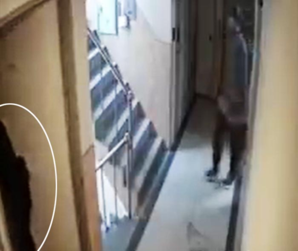 지난달 28일 서울 관악구 신림동 원룸 건물에서 피의자 조모씨(사진 오른쪽)가 집 안으로 들어가는 여성(왼쪽 하얀 원)의 뒤를 쫓아가고 있다. /온라인 커뮤니티 캡쳐