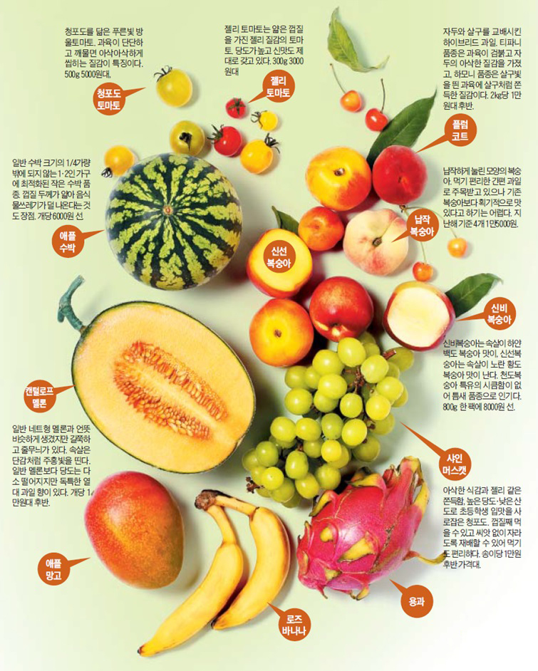 이색 과일