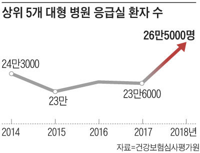 상위 5개 대형 병원 응급실 환자 수