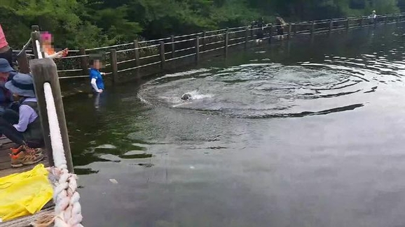 한라산국립공원 사라오름에서 수영한 등산객을 촬영한 사진. /SLR클럽 홈페이지 캡처
