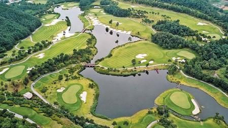 소피아그린CC 제공