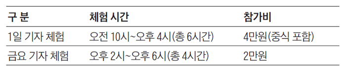 '조선일보 여름방학 기자 체험' 일정표