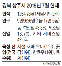 경북 상주시 2019년 7월 현재