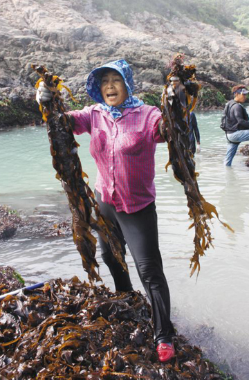 서거차도 주민들이 바닷가 바위와 절벽에서 손으로 일일이 따서 말린 햇미역./남도명품관 제공