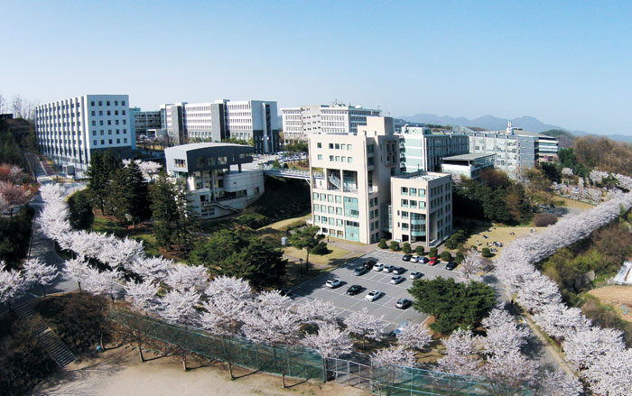 [2020 대학 가는 길]