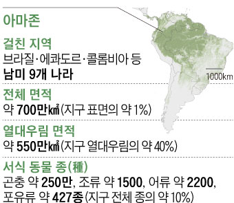 아마존 개요 그래픽