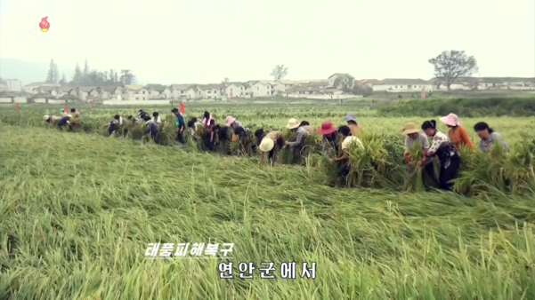북한 주민들이 태풍 '링링'으로 발생한 폭우 피해를 입은 농경지에서 복구 작업을 하고 있다. /연합뉴스·조선중앙TV